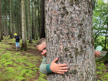 Junge umarmt Baumstamm