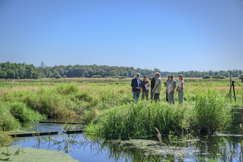 Fischaufstiegsanlage im Drömling