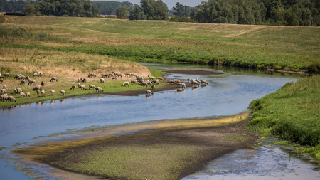 Flusslauf