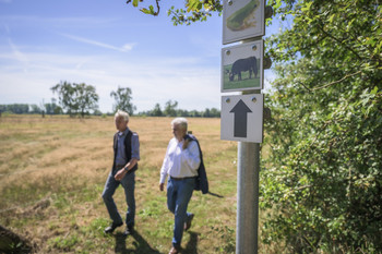 neuer Wanderweg an der Halboffenen Weidelandschaft Röwitz