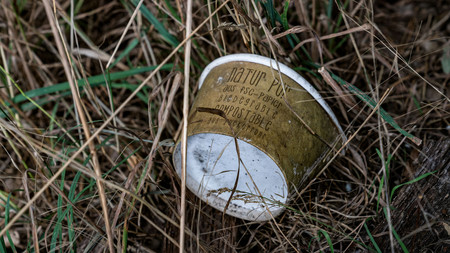 Wegwerfbecher im Gras