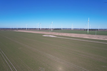 Der Windpark Elster vor dem Rückbau der 50 Altanlagen vom Typ Enercon E-40.