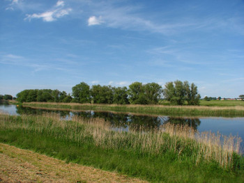 Gewässer in Sachsen-Anhalt