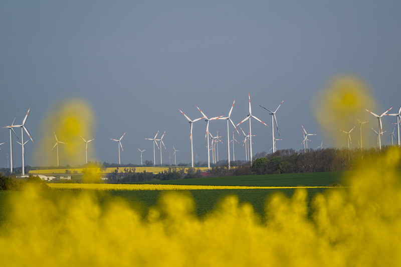 Windpark Vehlitz