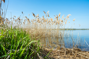 Goitzsche-Landschaft