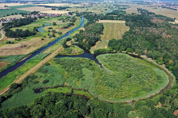 Die Anbindung ehemals abgeschnittener Mäander an den Fluss kann den Wasserhaushalt in den Auen verbessern.