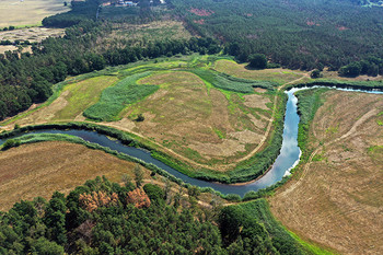 Abgeschnittene Flussarme und Mäander der Elbe und Schwarzen Elster werden im Rahmen des Projekts wieder angeschlossen.