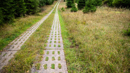 Grünes Band Sachsen-Anhalt