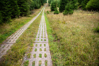 Grünes Band Sachsen-Anhalt