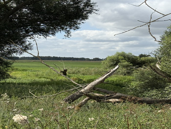 unterwegs im Landkreis Jerichower Land