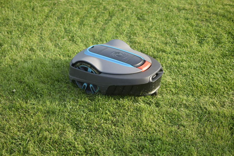 Mähroboter auf einer Wiese