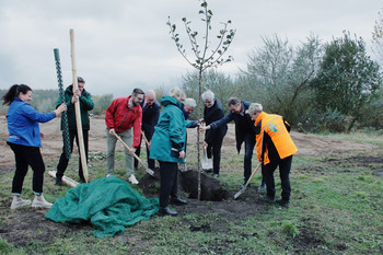 Baumpflanzung am Concordiasee